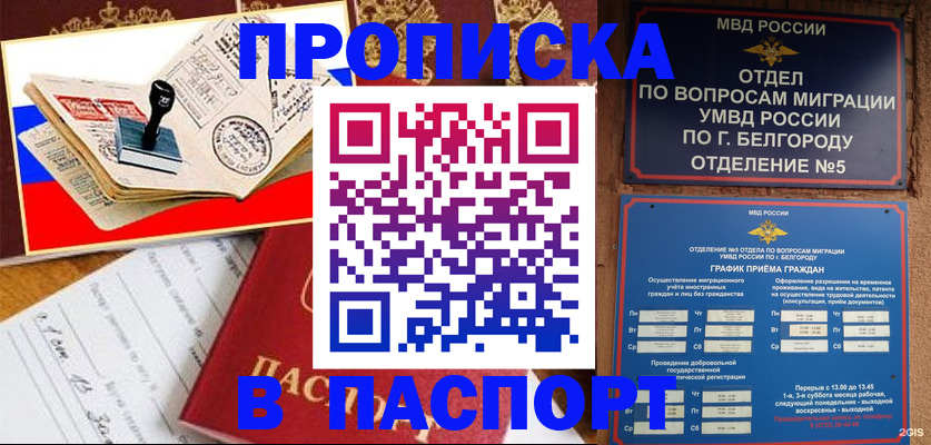 купить прописку в Кимовске